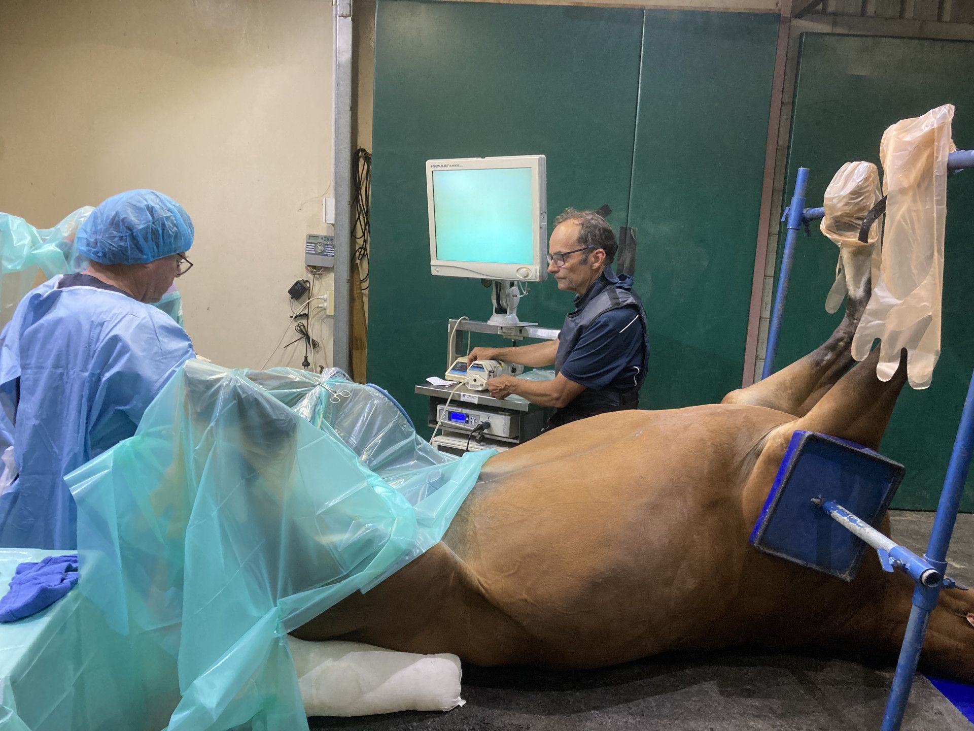 Veterinary surgery scene with a sedated horse on a table and two staff in blue gowns and masks