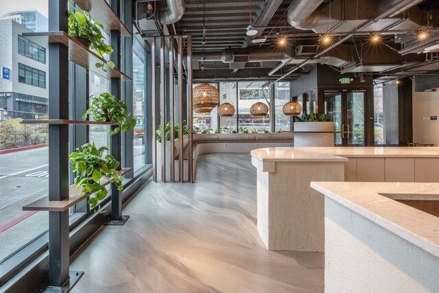 A kitchen with a lot of windows and plants on the shelves.
