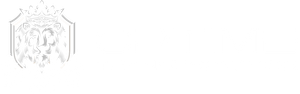 Optime Transportation logo