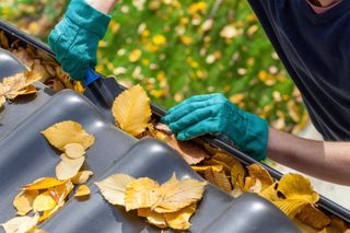 Man Cleaning Gutter with Autumn Leaves - Gutter Cleanouts  in Haverhill, MA
