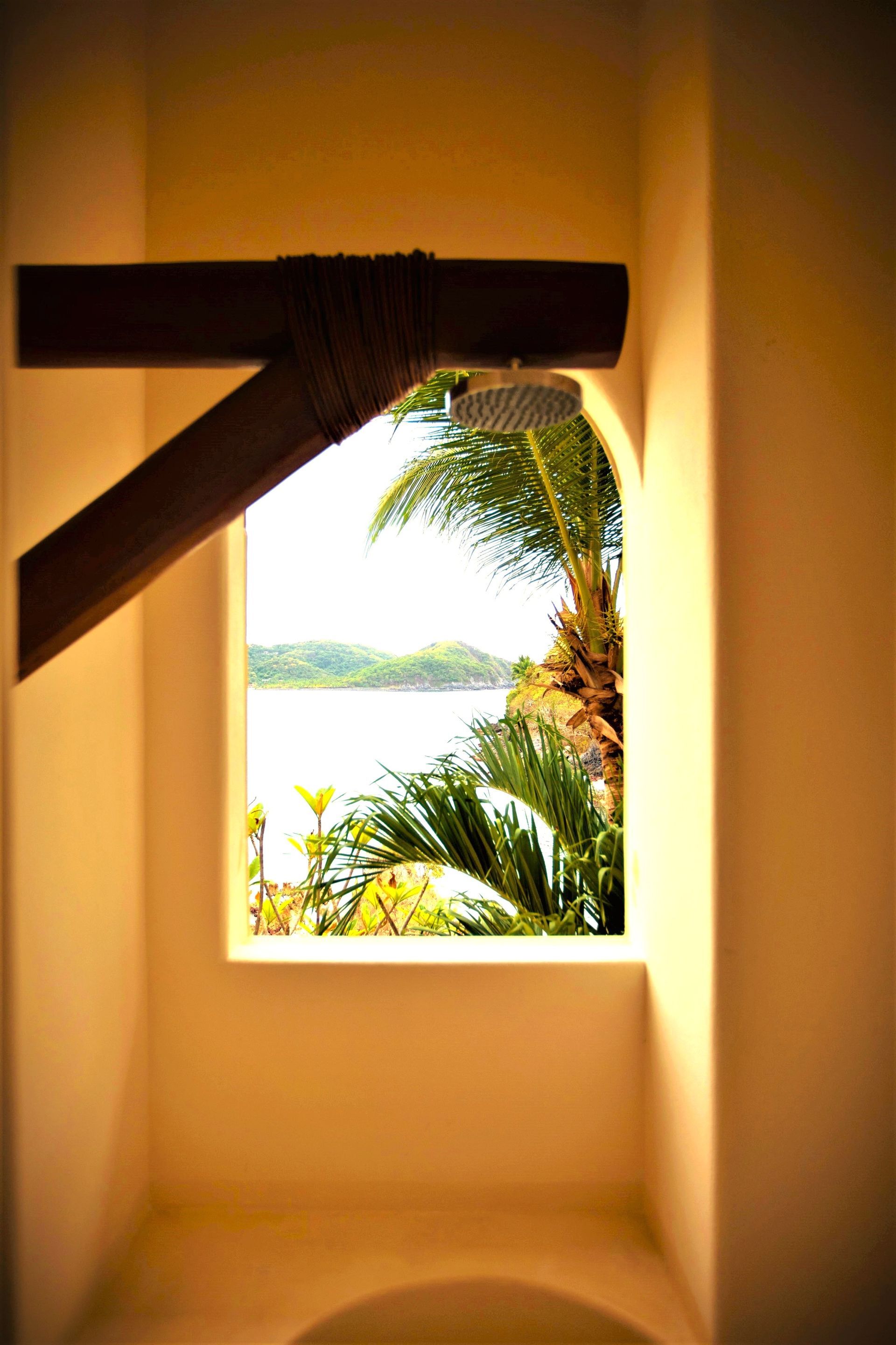 Cabina de ducha con vista al mar enmarcada por una palmera y soporte de madera.