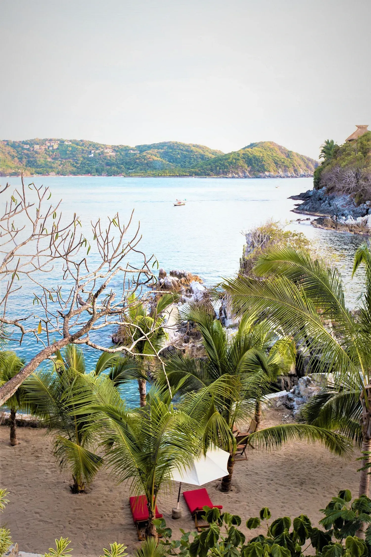 Playa con palmeras, tumbonas rojas y vista al océano y colinas distantes.