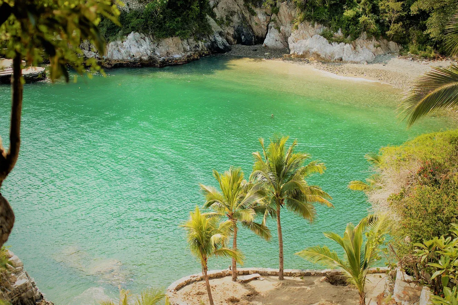 Aguas color esmeralda en una cala, enmarcada por acantilados rocosos y palmeras. Día soleado.