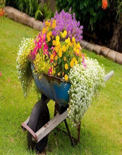 VIVEROS SERVIJARDINES
