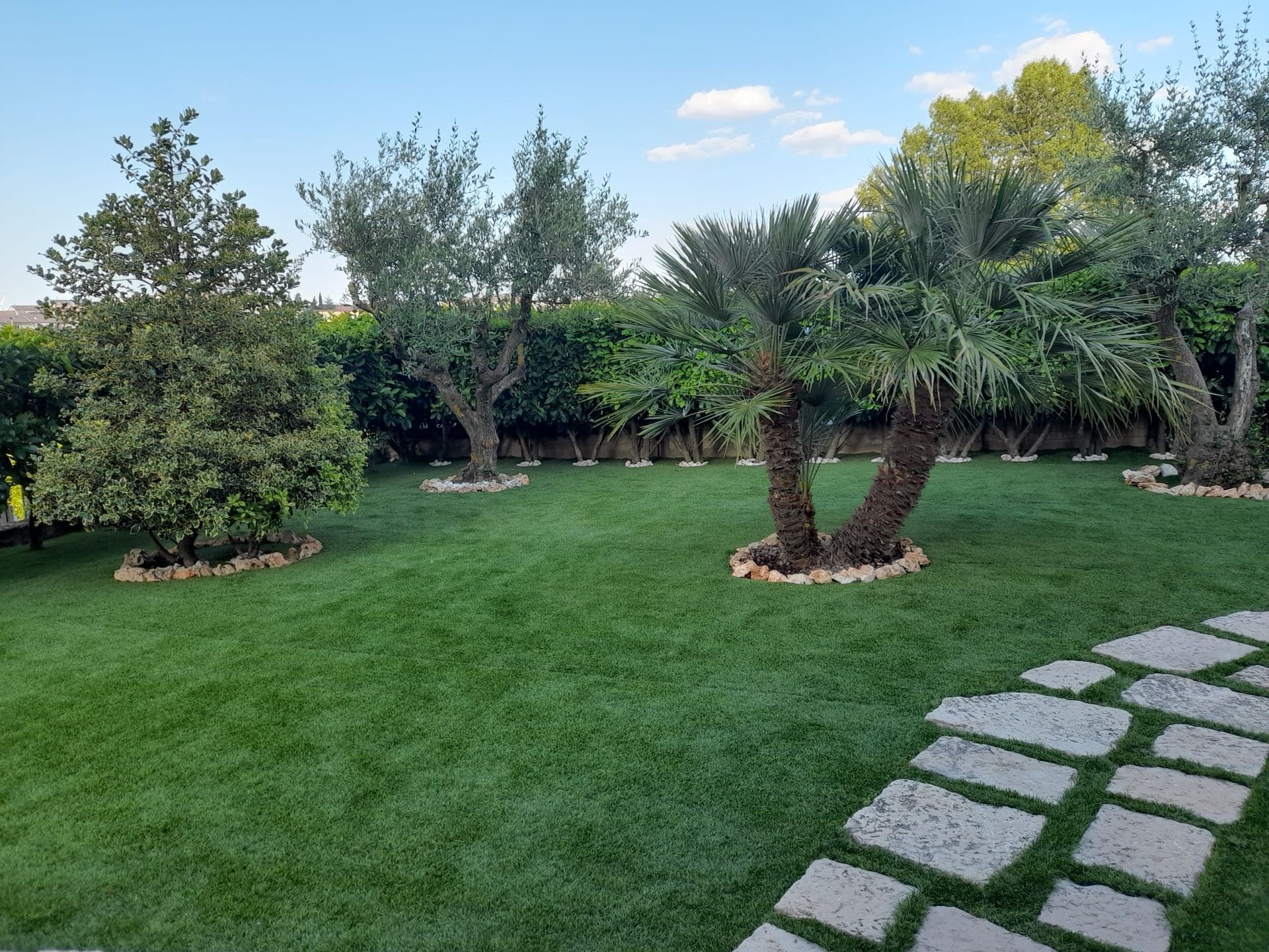 Un rigoglioso prato verde con diversi alberi, tra cui una palma, e un sentiero di pietra sotto un cielo azzurro e limpido.