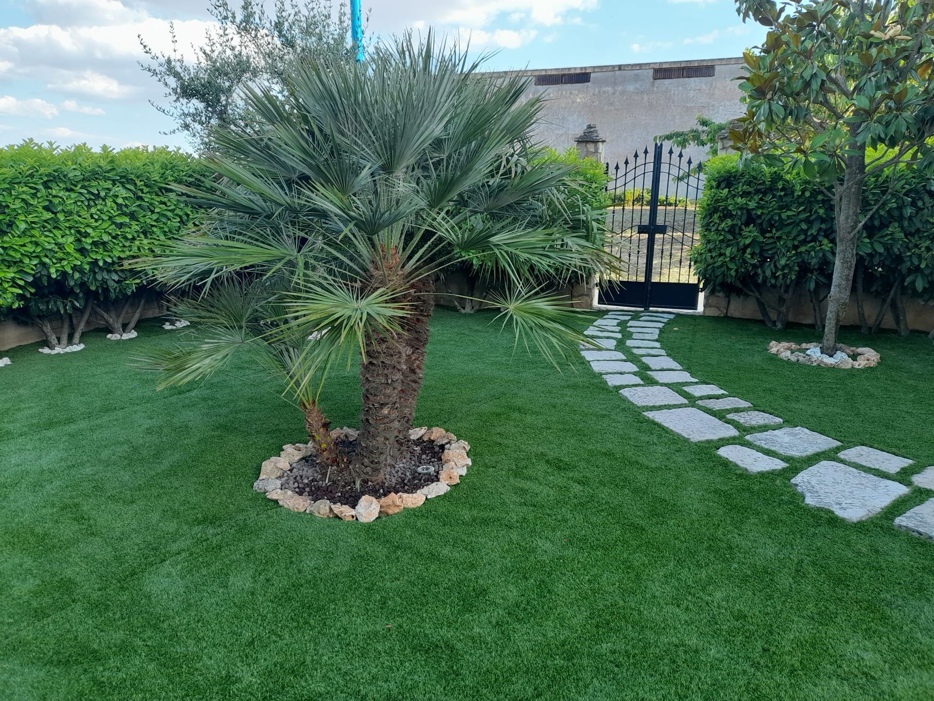 Un prato verde nel cortile sul retro, con una palma al centro, un sentiero di pietra e siepi ben curate che si stagliano contro un edificio in lontananza.