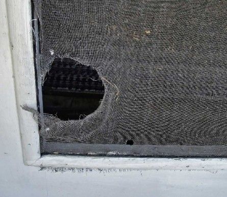 A hole in a house window screen, revealing the interior of the room behind it.