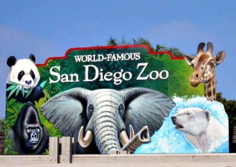 San Diego Zoo sign with panda, gorilla, elephant, giraffe, and polar bear illustrations