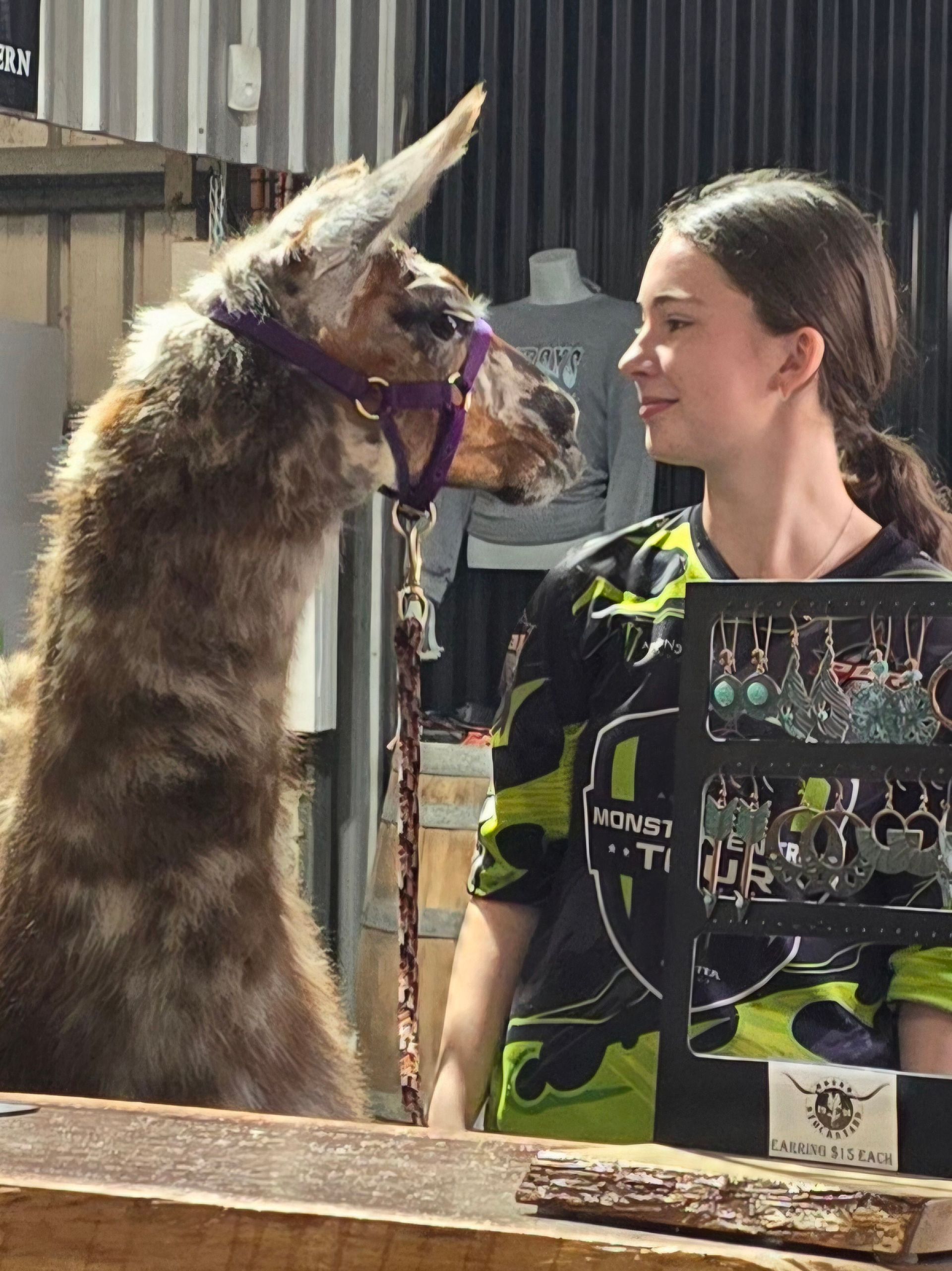 pretty girl with Llama