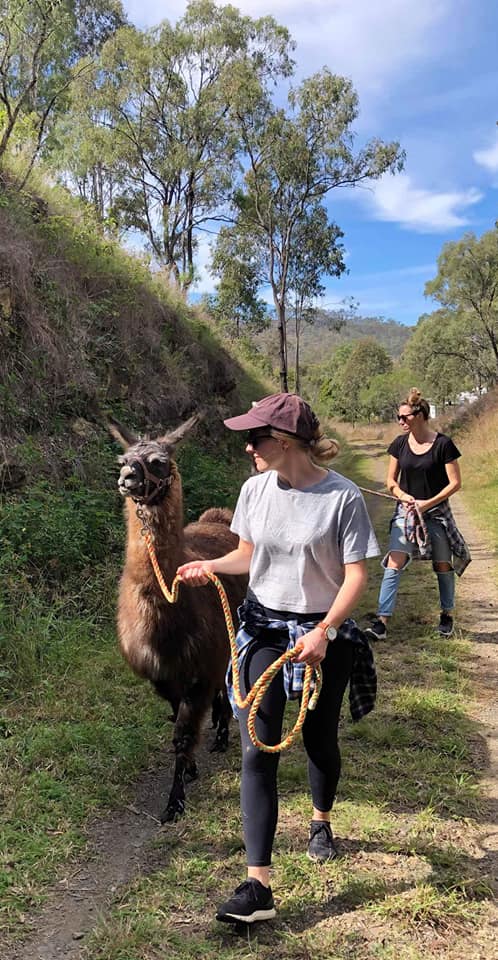 trail with  Llama