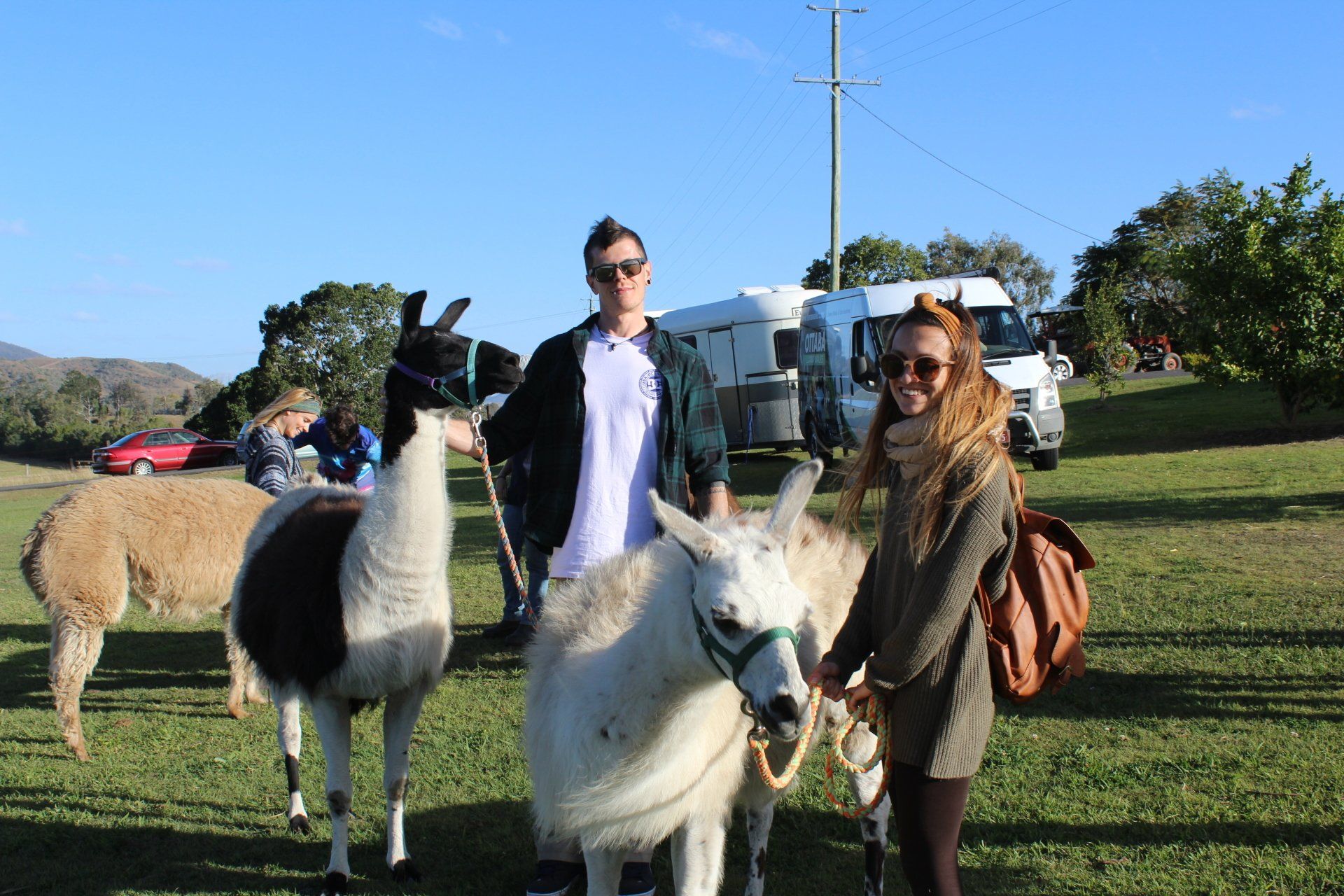 happy couple  with Llama