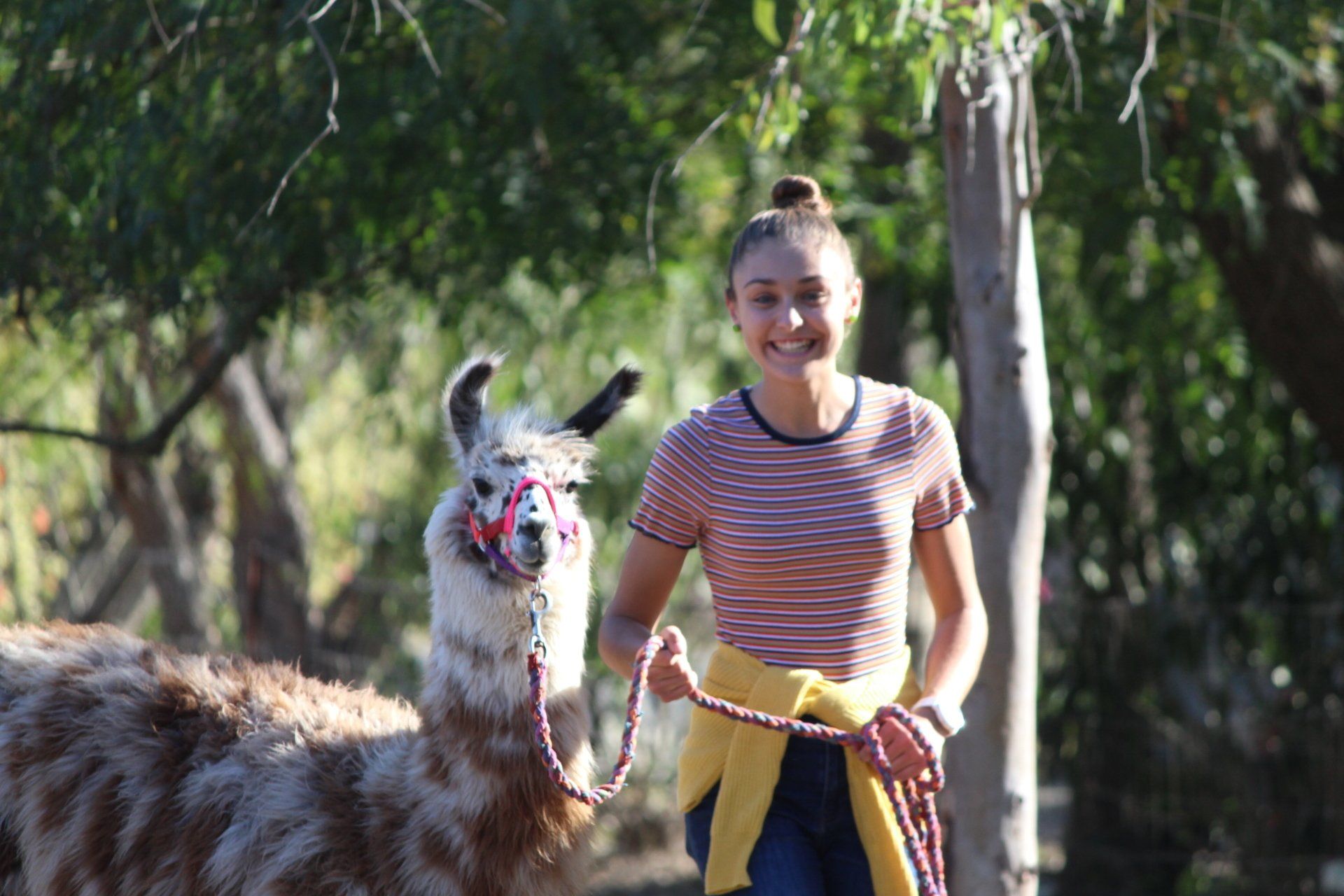girl and llama