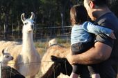 kids with llama