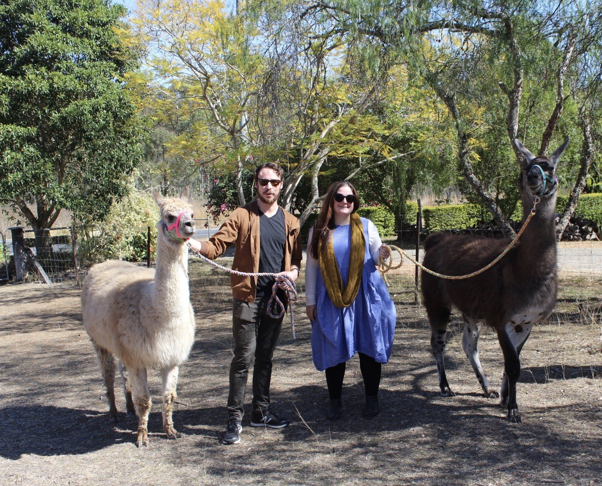 couple with Llama