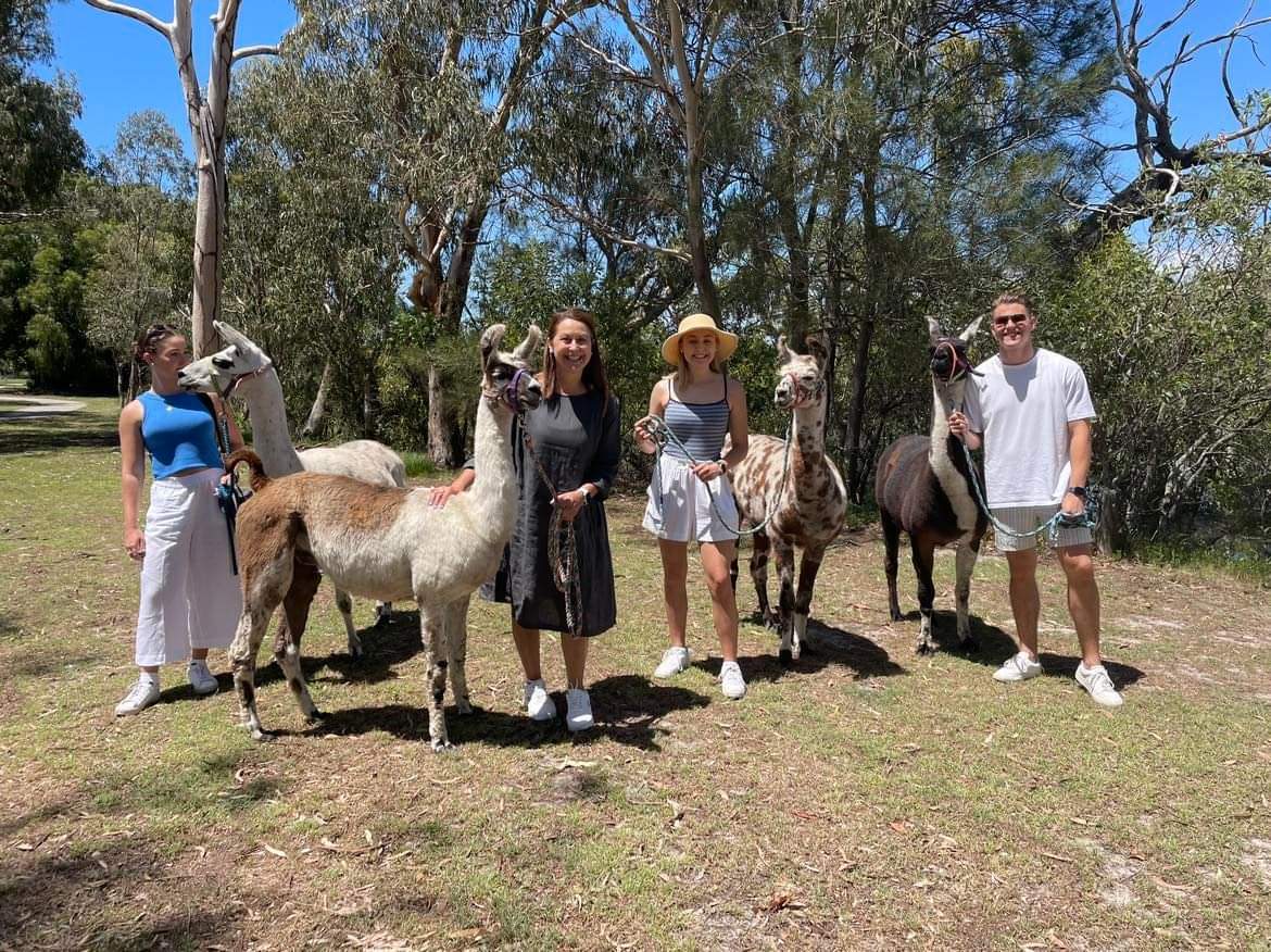 group pic with the Llama