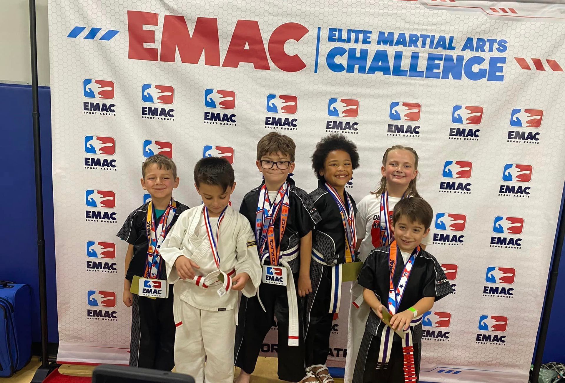A group of children are posing for a picture in front of a banner that says emac elite martial arts challenge.