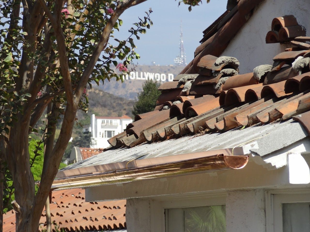 Hollywood sign seen over a tile roof, tree in foreground.