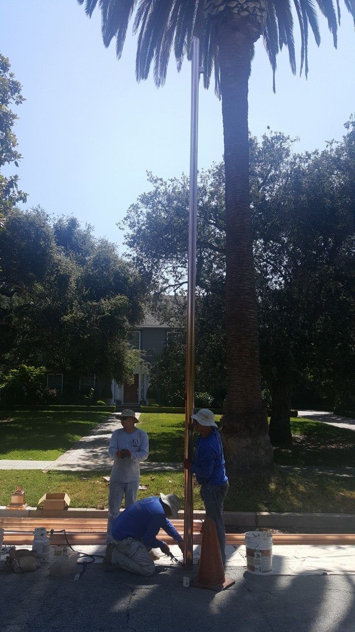 Three workers install a pole next to a palm tree on a sunny day; one kneels, two stand, and trees fill the background.