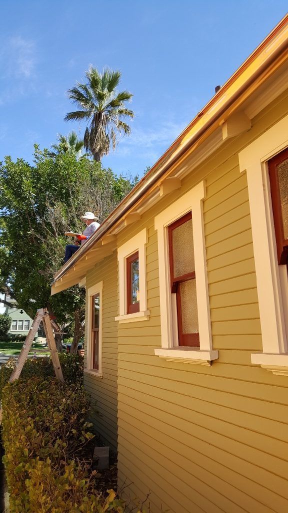 Person on a ladder near a house roof, possibly cleaning gutters. Palm tree and green foliage in the background.