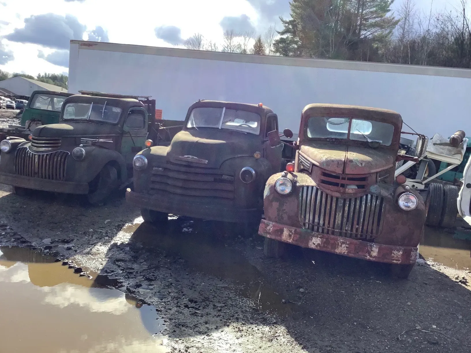 Three rusty vintage trucks parked outside, on muddy ground.