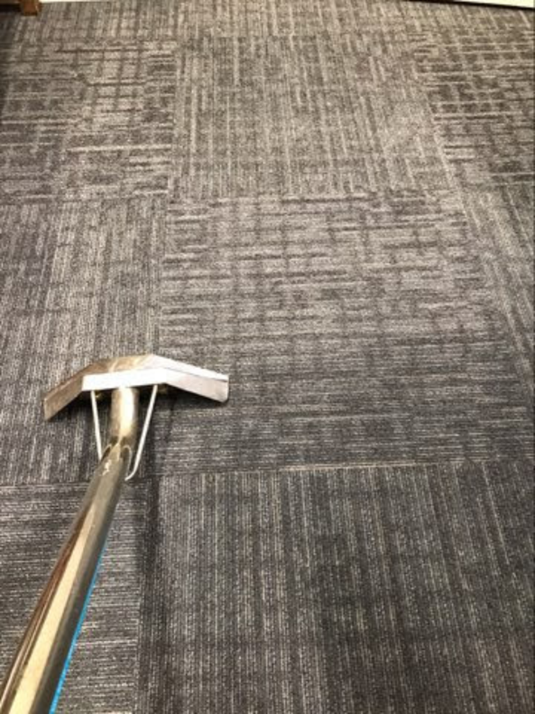 A vacuum cleaner is cleaning a carpet in a room.