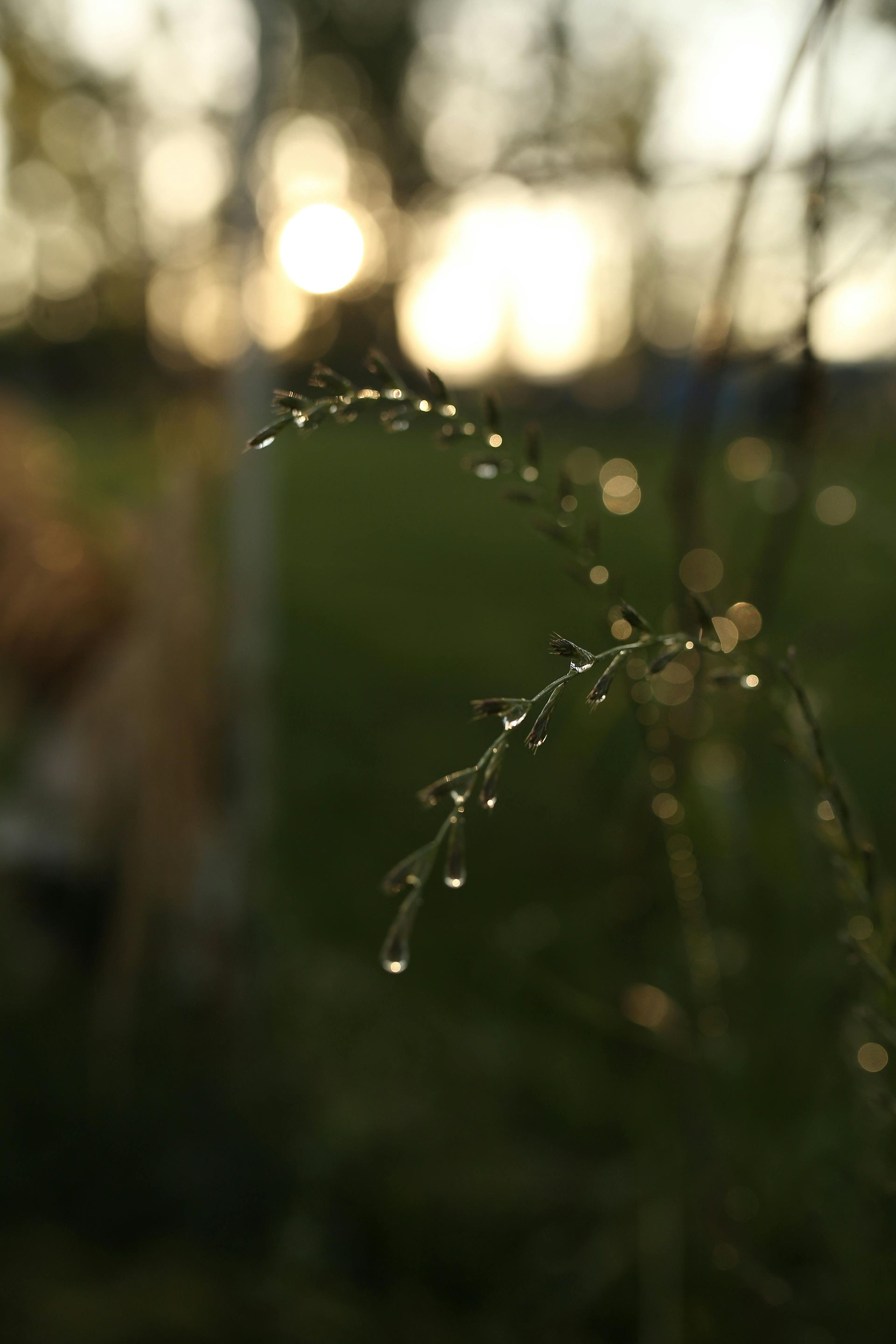 Parking BOXX barrier gate raising as a car exits a parking garage