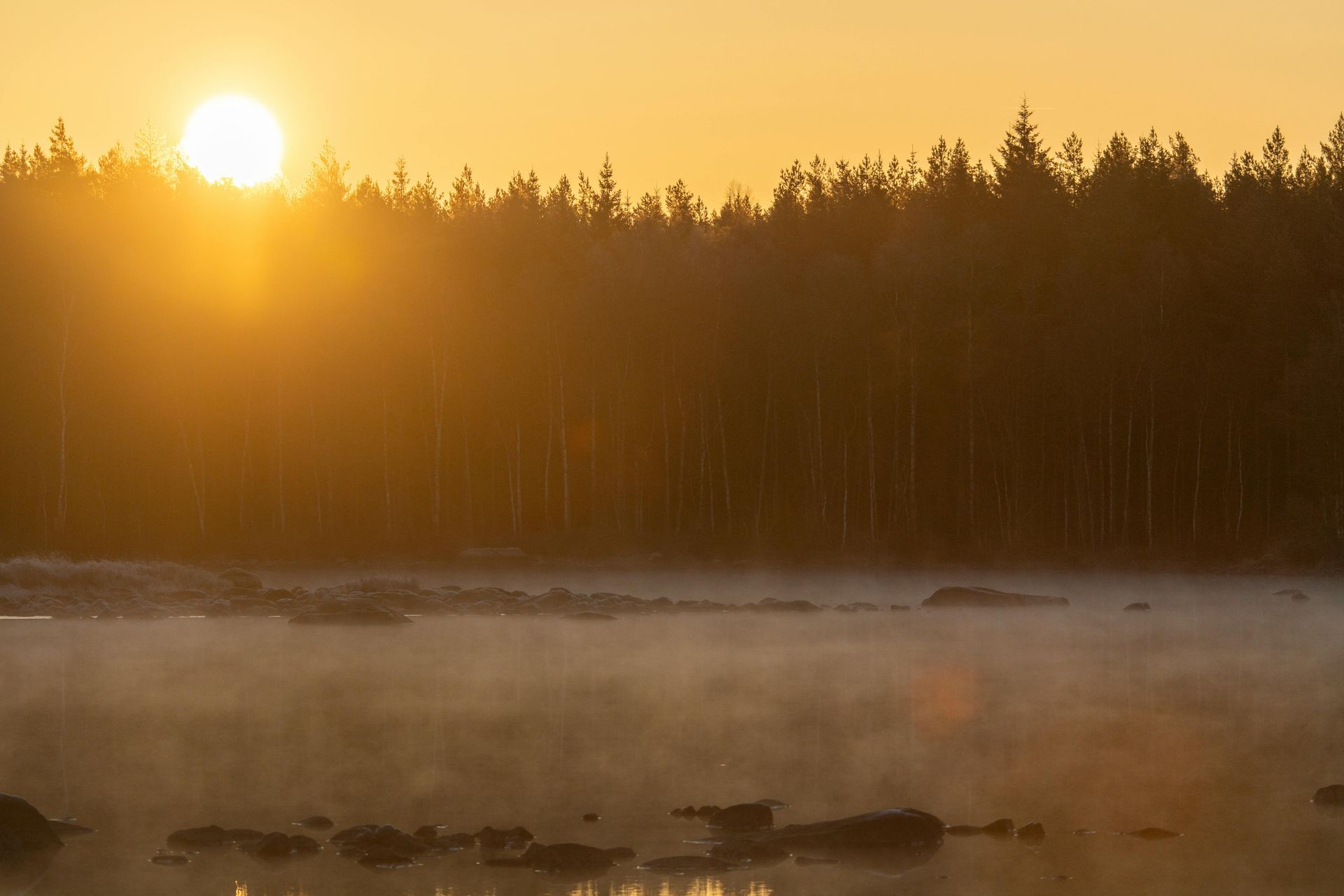 Modern parking garage with organized rows of vehicles