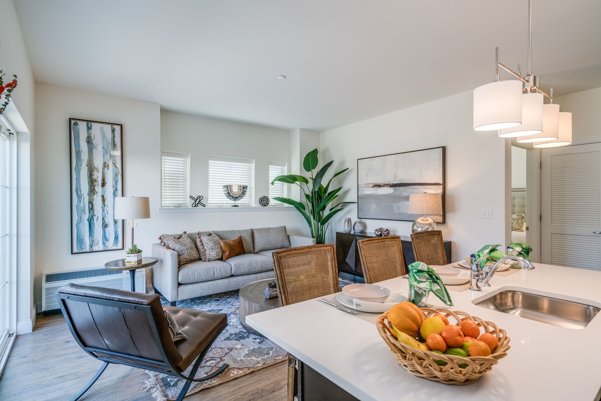 Brightly lit modern living space with a kitchen island, sofa, and a large plant.