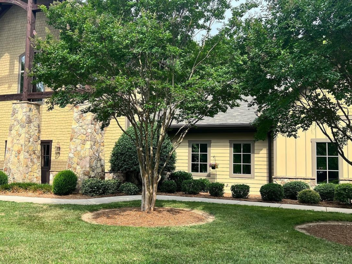 window tint for home