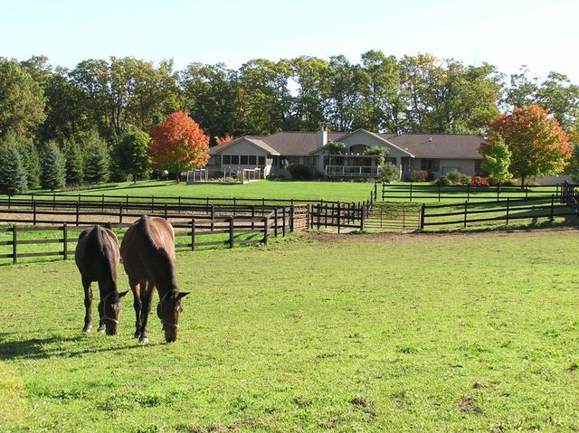 Two horses graze in a green pasture with a house and fence in the background, autumn trees in view.