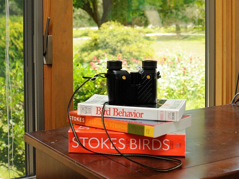 Binoculars atop birding books on a desk, near a window with a garden view.