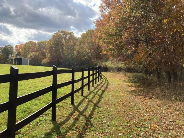 Black fence in a green field with autumn trees and shadows on the grass under a cloudy sky.