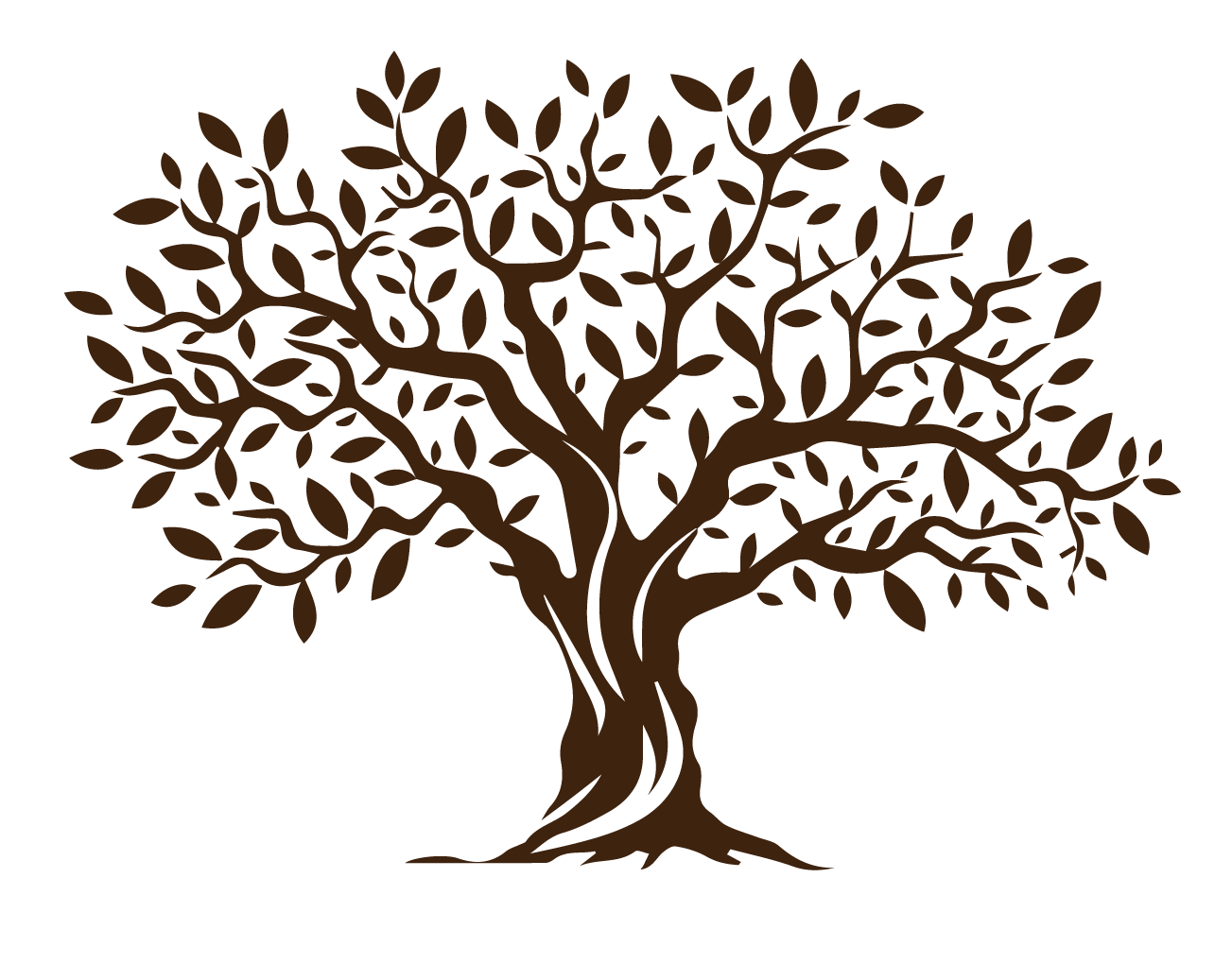 Brown olive tree silhouette against a white background.