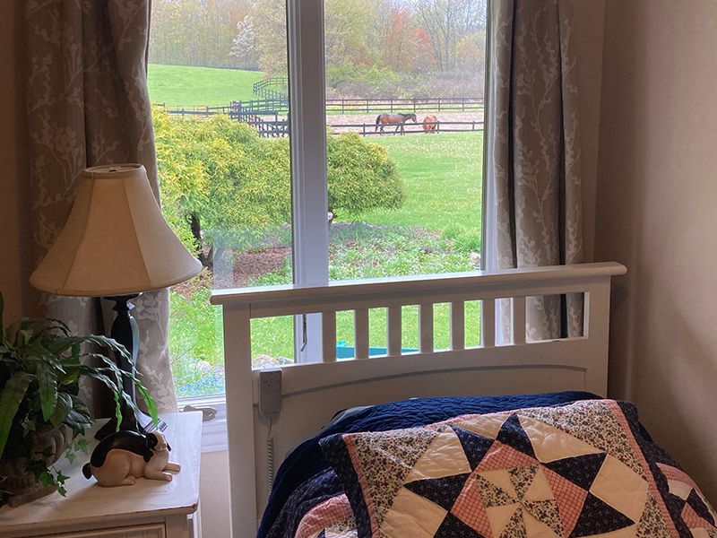 Bedroom with a white bed, patterned quilt, lamp, and window overlooking a grassy field with horses.