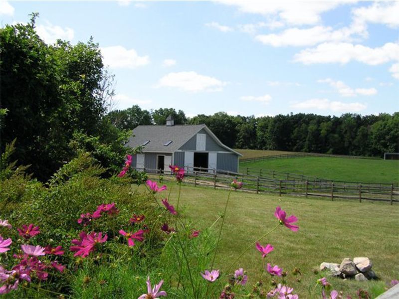 Barn in a sunny field with pink flowers in the foreground, surrounded by green trees and a blue sky.