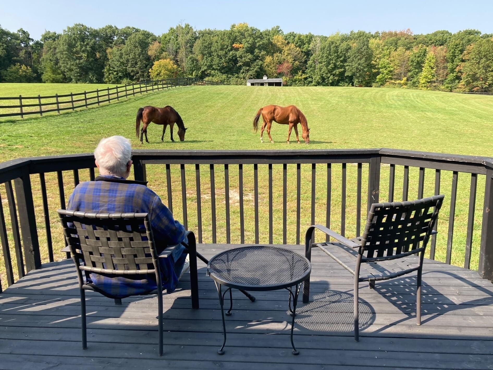 Man on deck chair looking at horses grazing in a field. Sunny day.