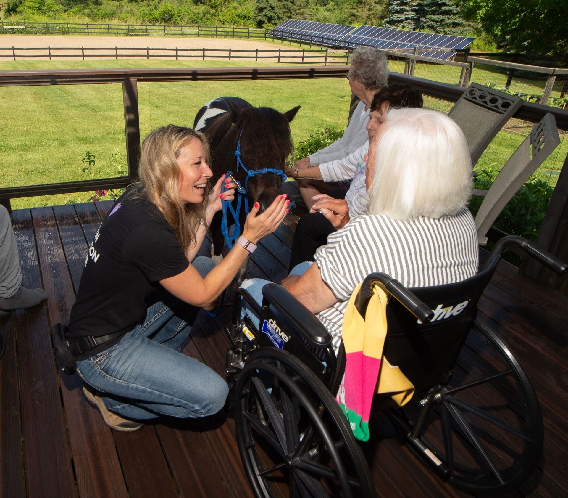 Woman in wheelchair interacts with a miniature horse, assisted by two others on a deck; outdoor setting.