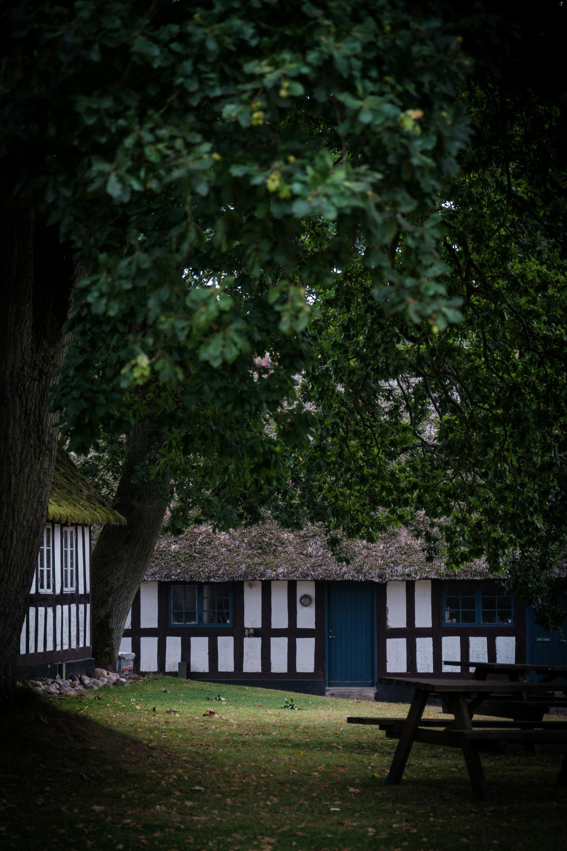Black and white timber-framed building under a large, leafy tree; picnic table on the grass.