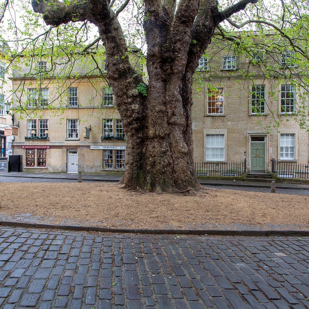 Removal of Structures & Hard Surfacing