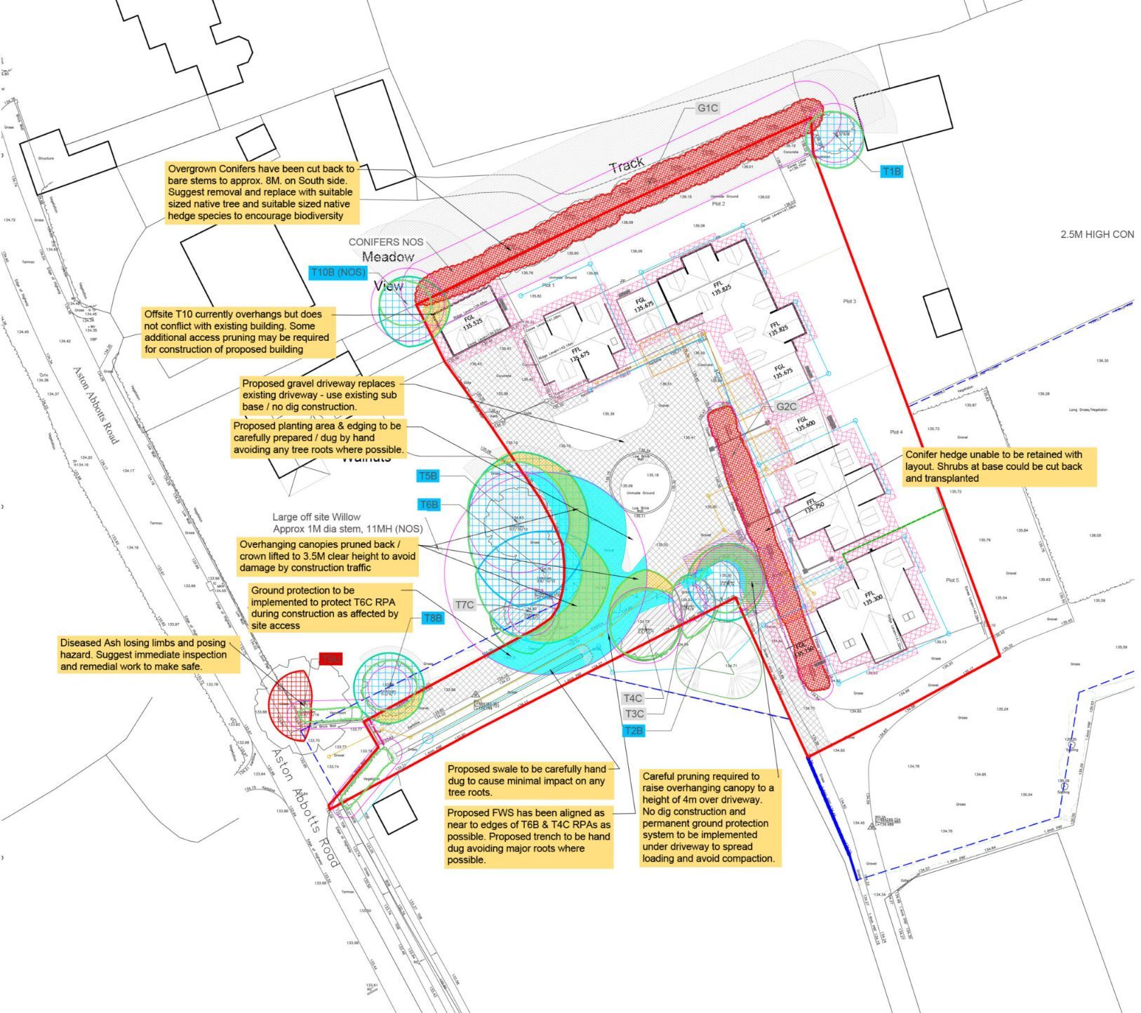Tree Protection Measures