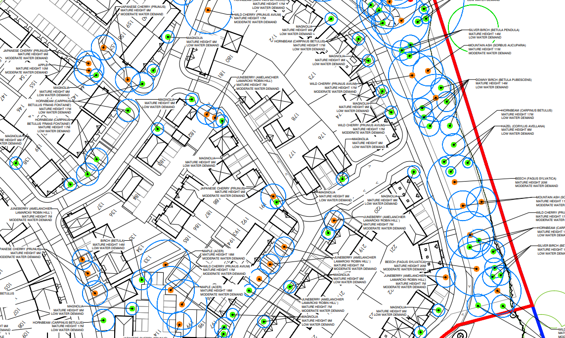 BS5837 Planning
