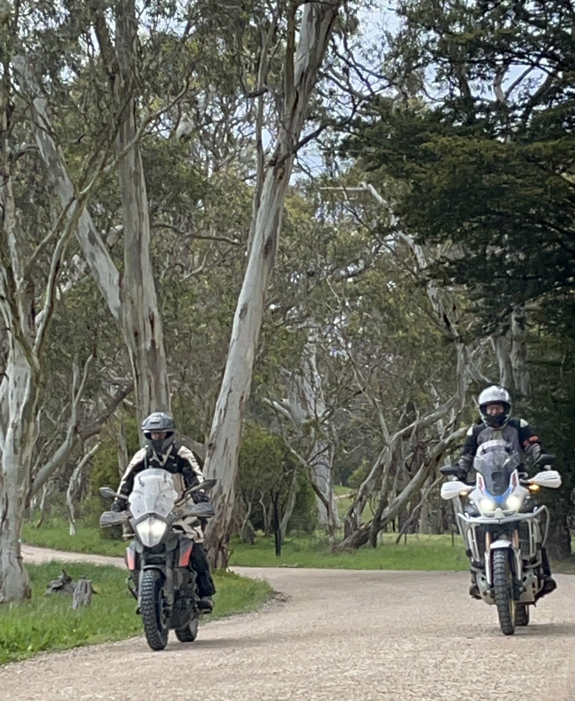 Two motorcyclists ride on a gravel road through a wooded area.