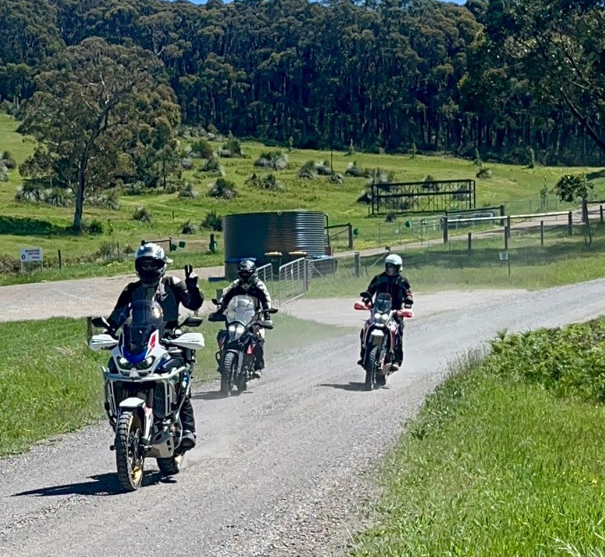 Highland cow with long horns and shaggy brown fur stands in a grassy field.