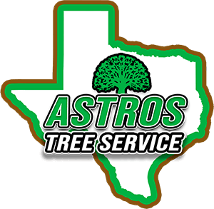 Astros Tree Services