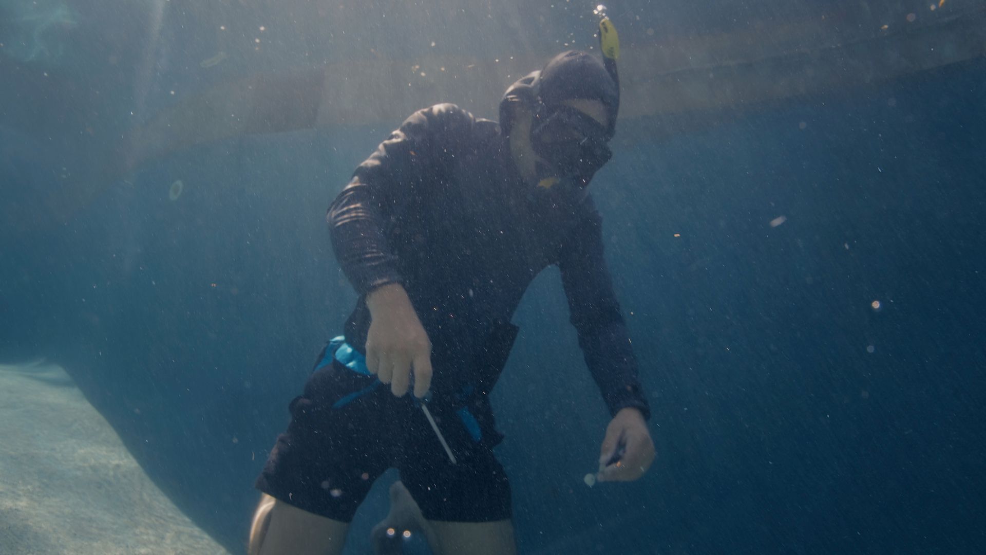 Person snorkeling underwater, inspecting something, wearing a wetsuit and mask.