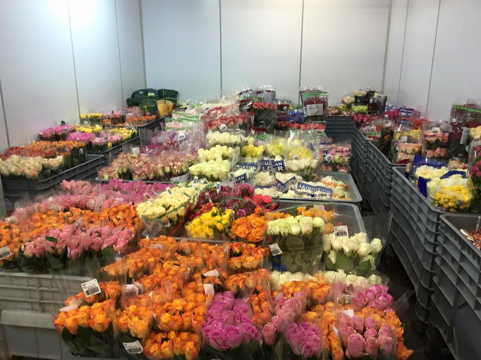 vendita di fiori all'ingrosso