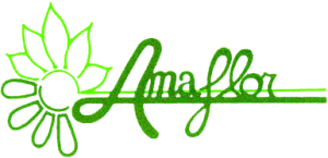 Amaflor - Ingrosso Fiori e Piante - Logo