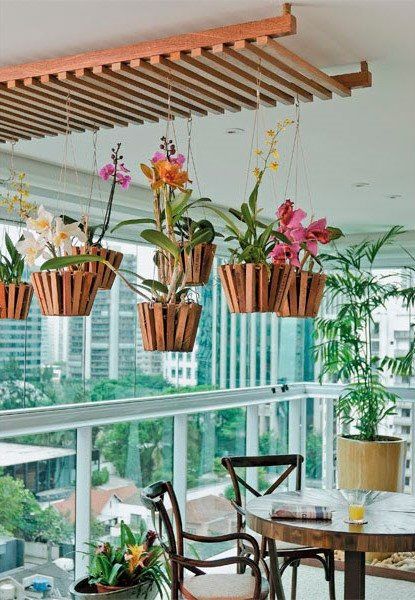 Cultivo de Orquídeas