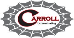 Carroll Exterminating