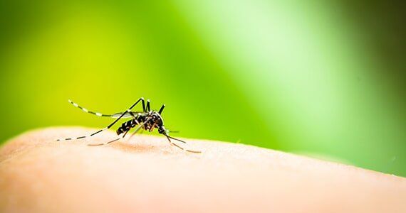 A person in need of mosquito control in Peachtree City, GA